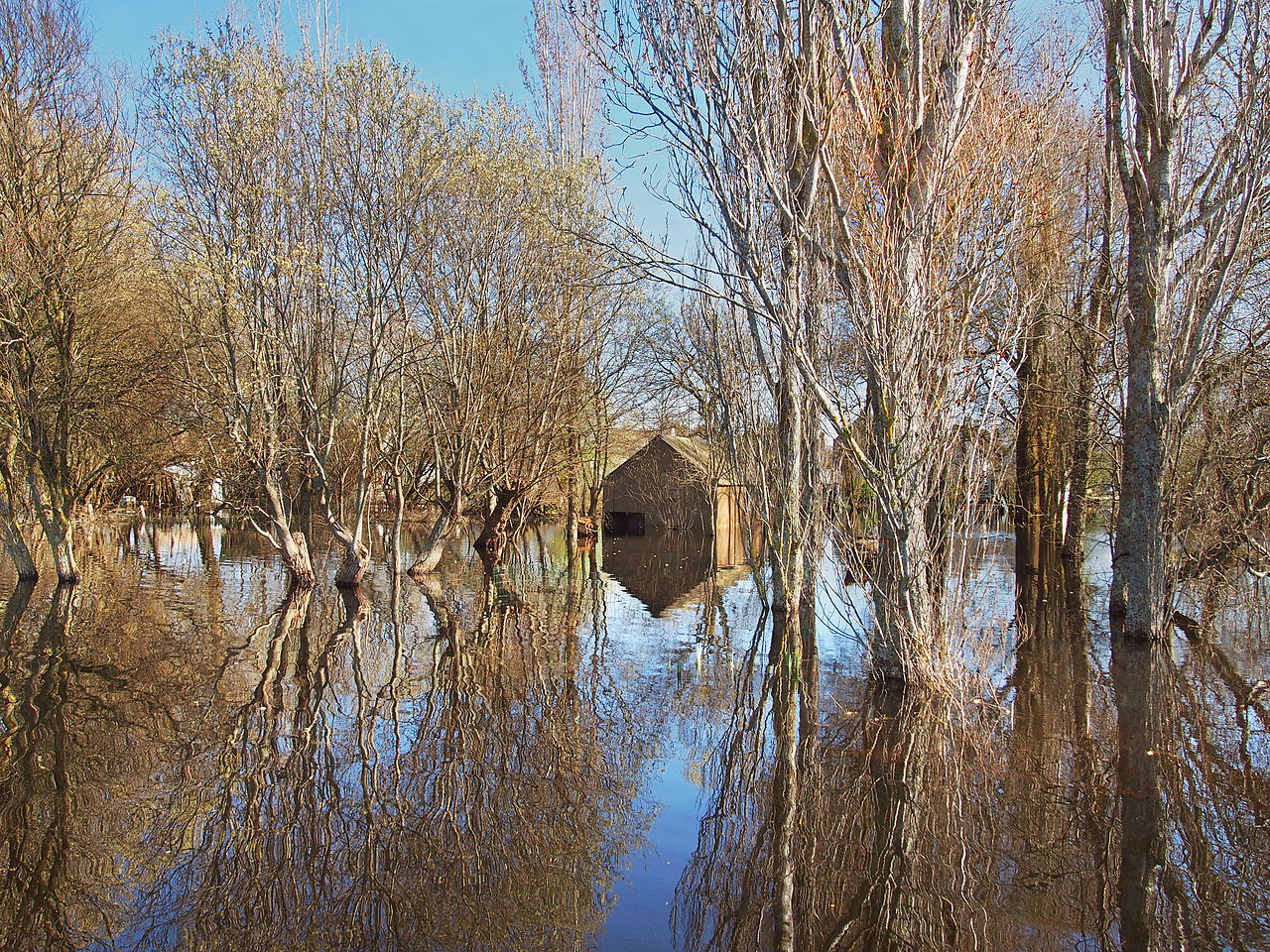 Parc régional de la Brière