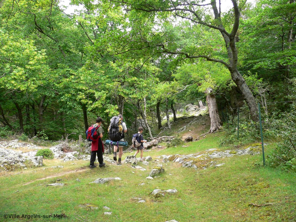 Activités sportives Argelès-sur-mer