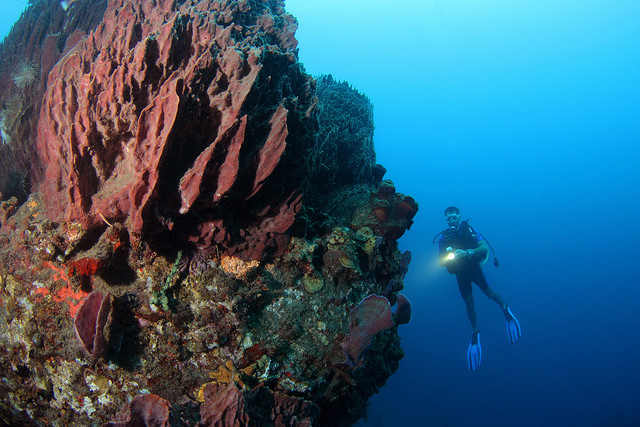 Vacances entre amis l'Estartit