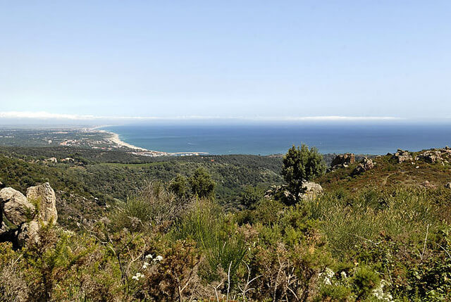 Paysages Argelès sur Mer