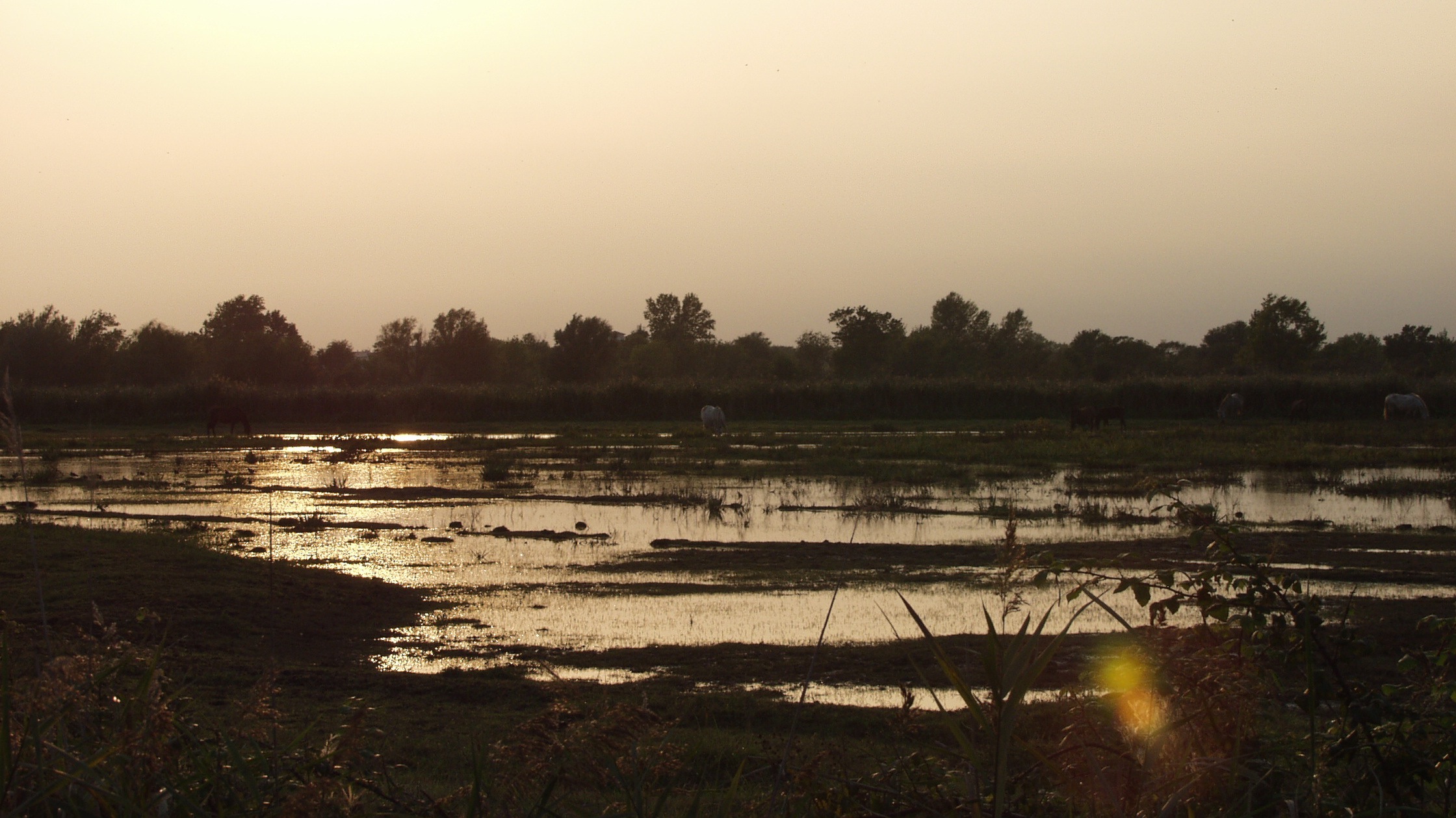Raisons faire du camping à Empuriabrava
