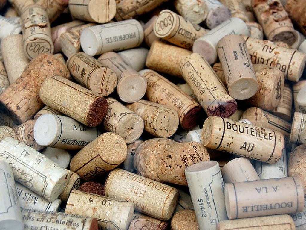 Culture Catalogne du Nord