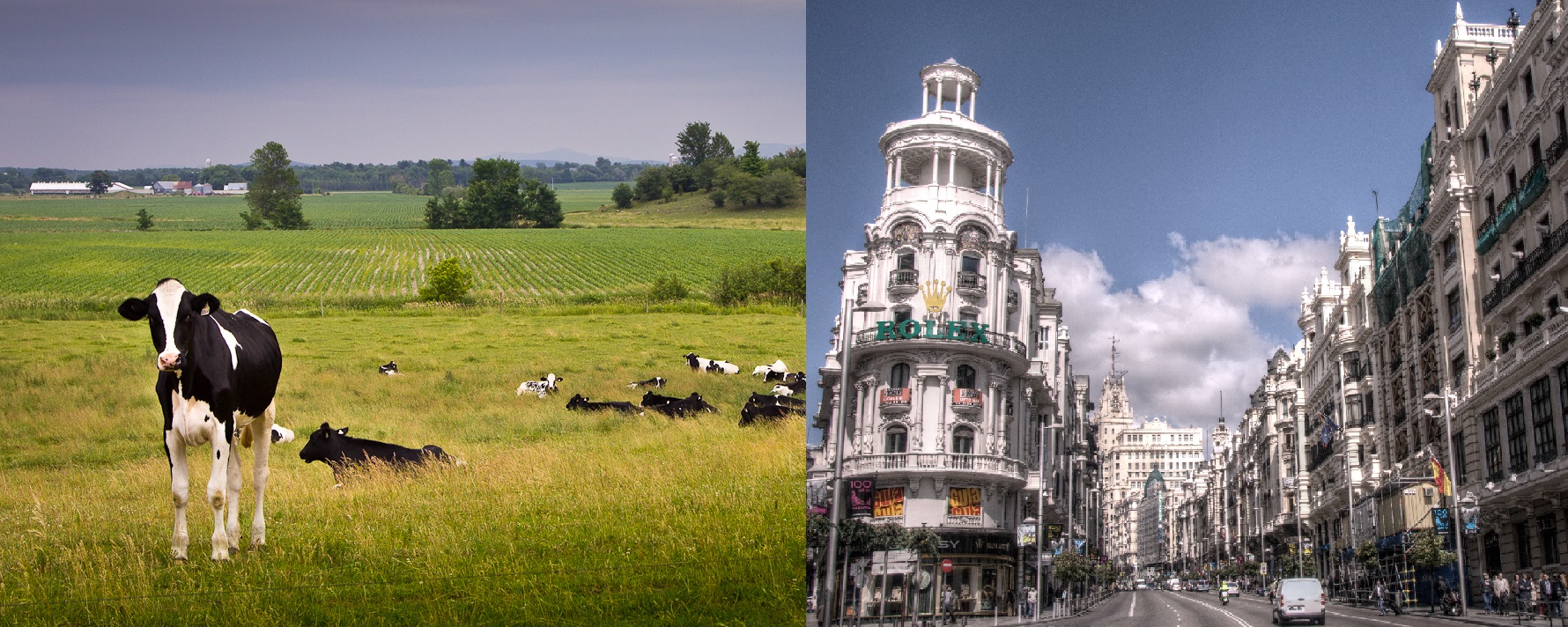 Flickr© Jean-François Renaud - Felipe Gabaldon