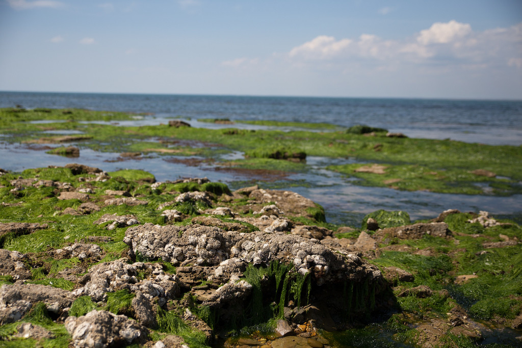 Ile de Ré - Crédit photo @Olivier Issaly - Flickr