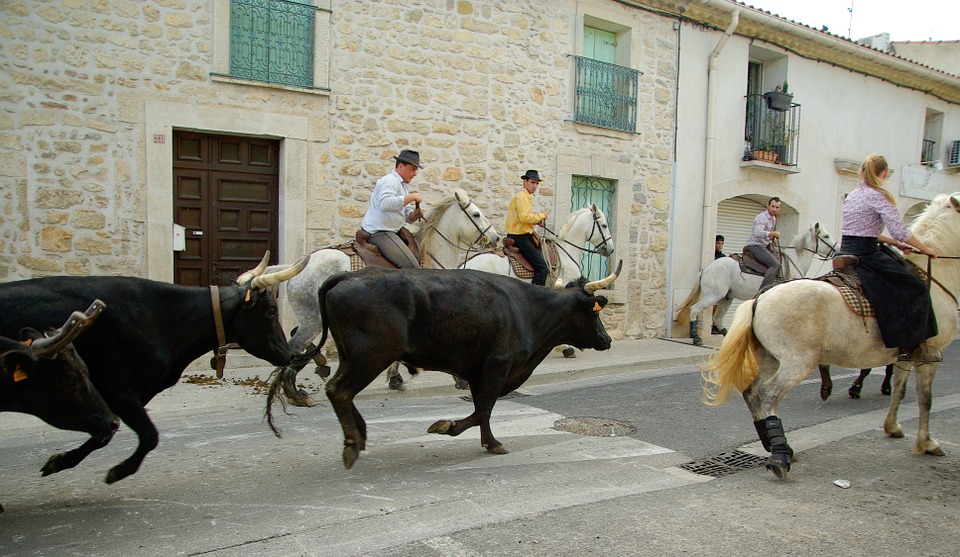 Fête de la Camargue - Crédit photo @Jackmack34 - Pixabay