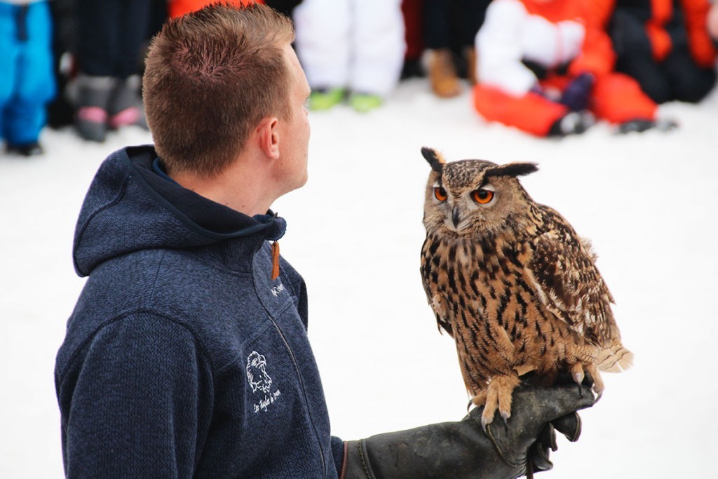 Spectacle de la fauconnerie - Crédit photo @Les Menuires OT