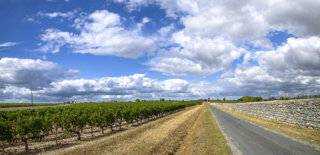 Sur la route des vins de Bordeaux - Crédit photo @www.hacienda-la-colora.com - Flickr