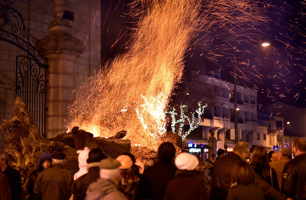 Le bois de Noël portugais, une des traditions les plus vues à travers le Portugal. Crédit photo @_morgado - Flickr