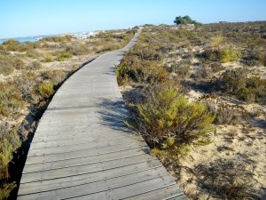 10 - Boardwalk Algarve - PunkToad - Flickr