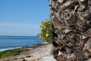 14- Météo - rkloever - Pixabay