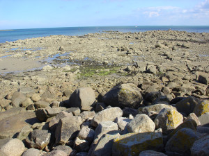 2 - Tatihou - Rémi Vincent - Flickr