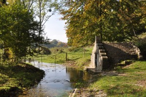 4 - Mortemart - NadineDoerle - Pixabay