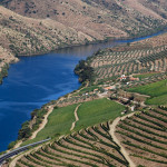 4 - Vallée du Douro - Aire Almeida - Flickr