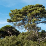 5 - Parc de la Maremme - stux - Pixabay