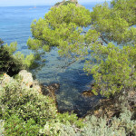 7 - Parc National de Port-Cros - phileole - Flickr