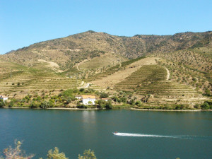 7 - Vallée Douro - Aires Almeida - Flickr