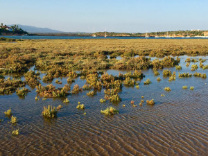 8 - Alvor - Aires Almeida - Flickr