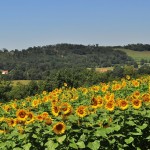 Pyrénées Atlantiques 05 - Pyrénées - Atlantiques - Ticurt - Pixabay