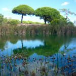 4 - Ria Formosa (1) - Natalia - Flickr