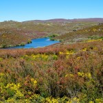 6 - Parc Naturel de Montesinho (4) - Miguel Vieira - Flickr