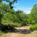 6 - Parc Naturel de Montesinho - Miguel Vieira - Flickr