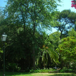 7 - Jardin Da Estrella - BIAU Guillaume - Flickr