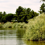 Montargil Montargil - @André Luis - Flickr