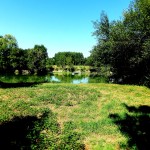 Pays de la Loire - @226926 - Pixabay