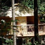 Cabanes als arbres - @cabanesalsarbres