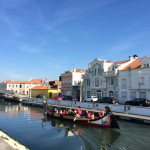 Baixo Vouga - Région Centre - Portugal - @Sergei Gussev - Flickr