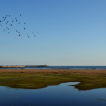 Platja de Vilanova i la Geltru - Espagne - @MARIA ROSA FERRE - Flickr