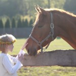 Equitation - @lymoni - Pixabay