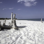 Oasis de Biderrosa - Sardaigne - Italie - @Matteo Castaldo - Flickr
