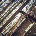 Acrobranche - Lège Cap Ferret - @markusspiske - Pixabay