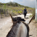 Balade à cheval - Ile de Ré - @Léo Tisseau - Flickr