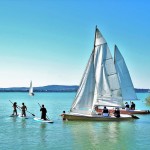 Stand up Paddle - Ile de Ré - @ivabalk - Pixabay