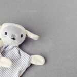 Doudou - @Pezibear - Pixabay