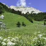 @OTSavoieMontBlanc-Mari