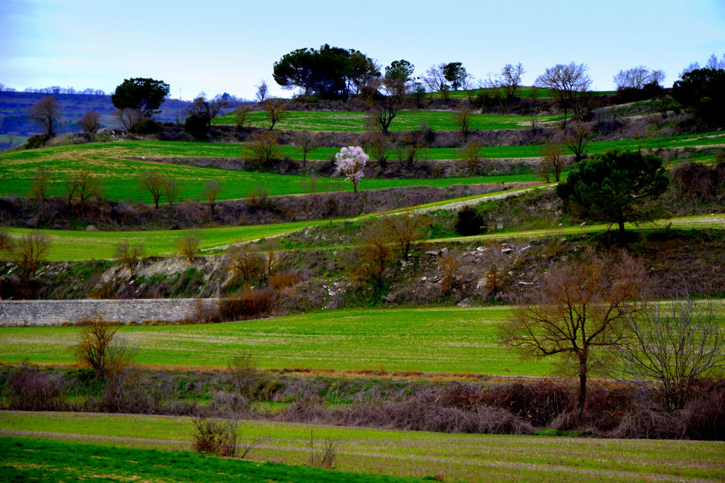 Catalogne Intérieure 