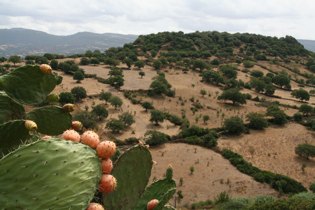 Parc National de Gennargentu - @Pietro Di Bello - Flickr