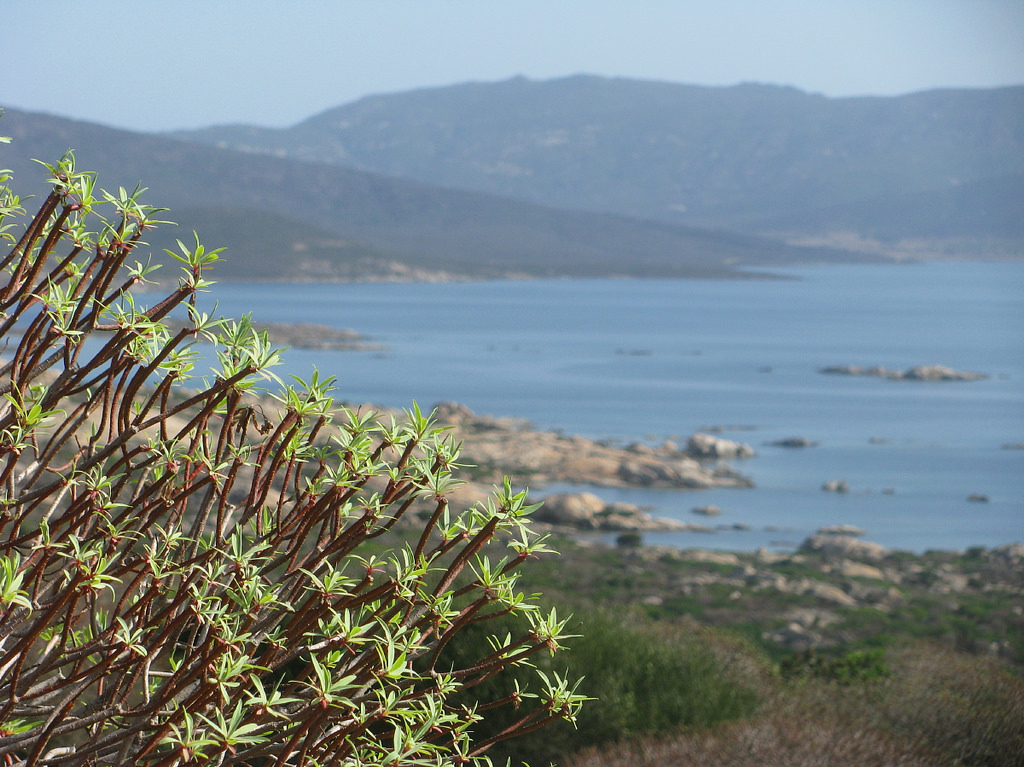 Parc National de l'Asinara - @Patrizia Peruzzini - Flickr