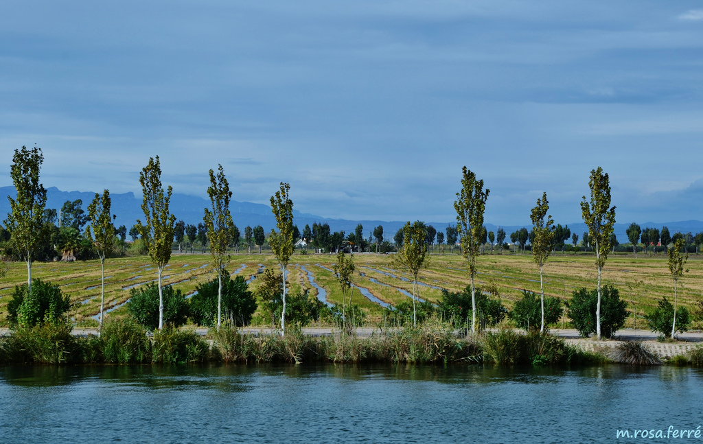 Parc Naturel du Delta de l'Ebre - @MARIA ROSA FERRE - Flickr