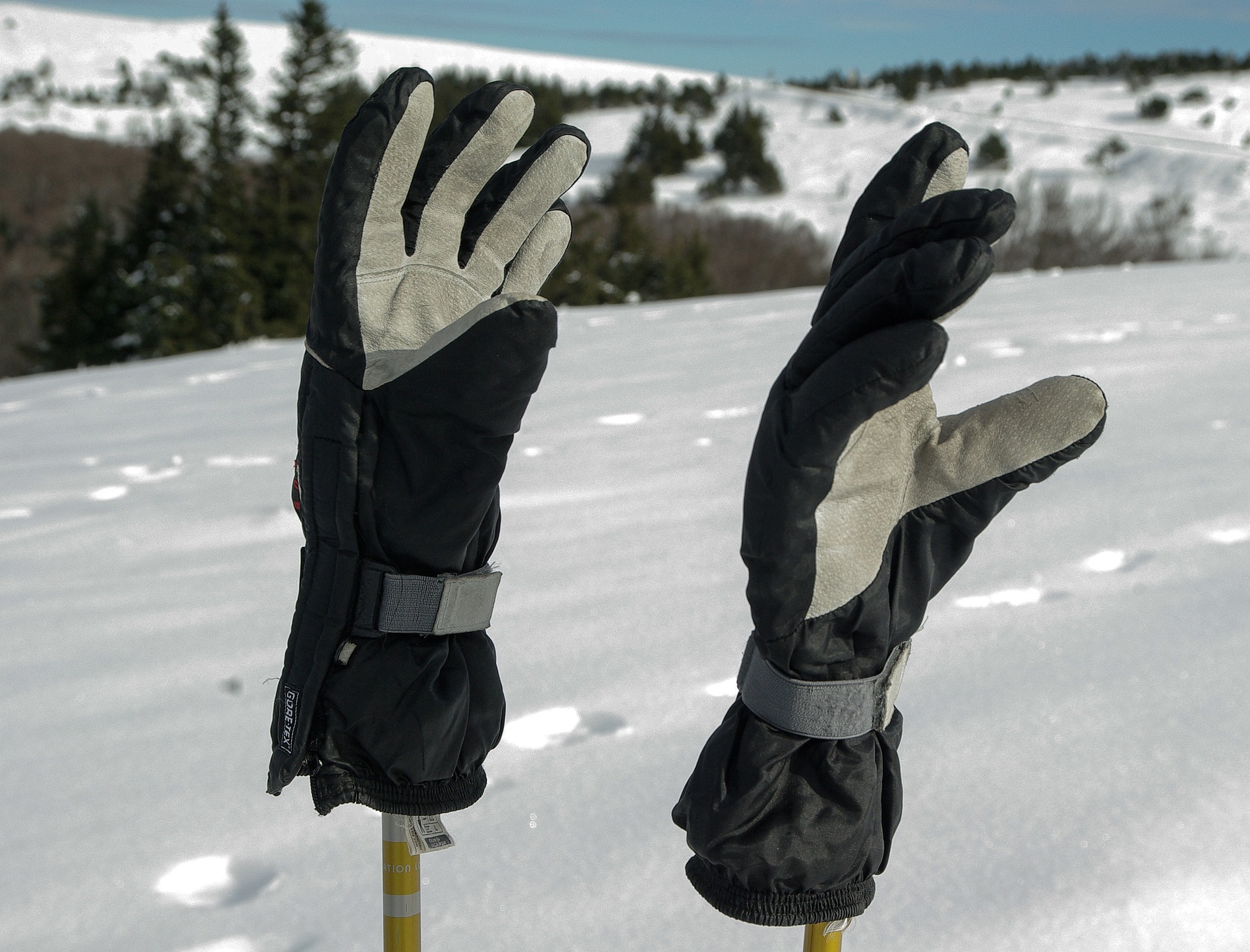 Des gants de ski pour protéger vos mains - @jackmac34 - Pixabay