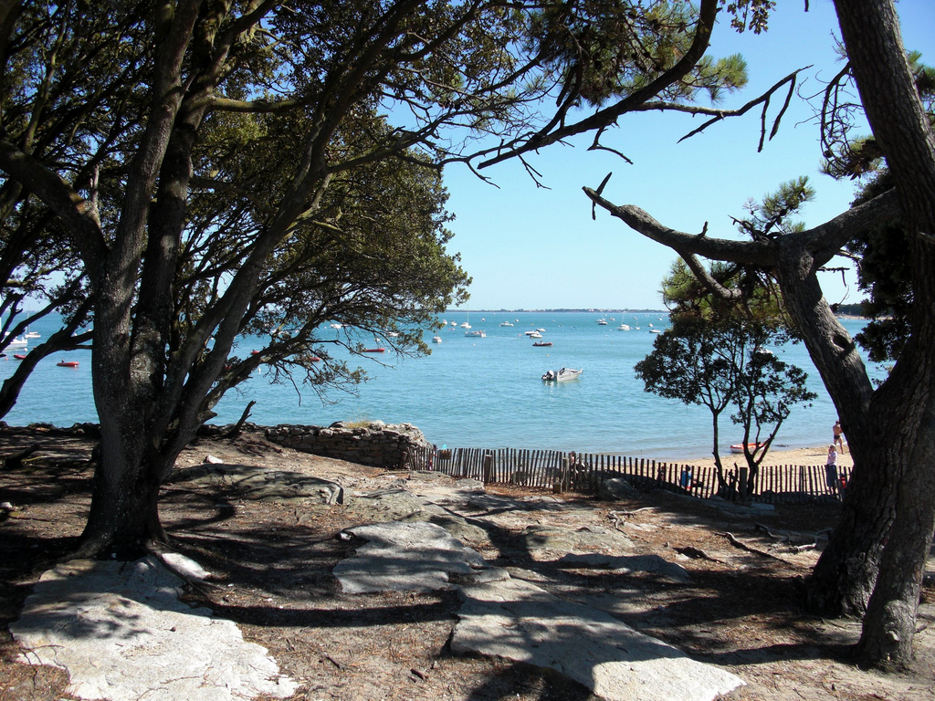 Noirmoutier - @francois schnelle - Flickr