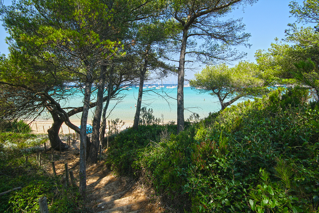 Porquerolles - @Miguel Virkkunen Carvalho - Flickr